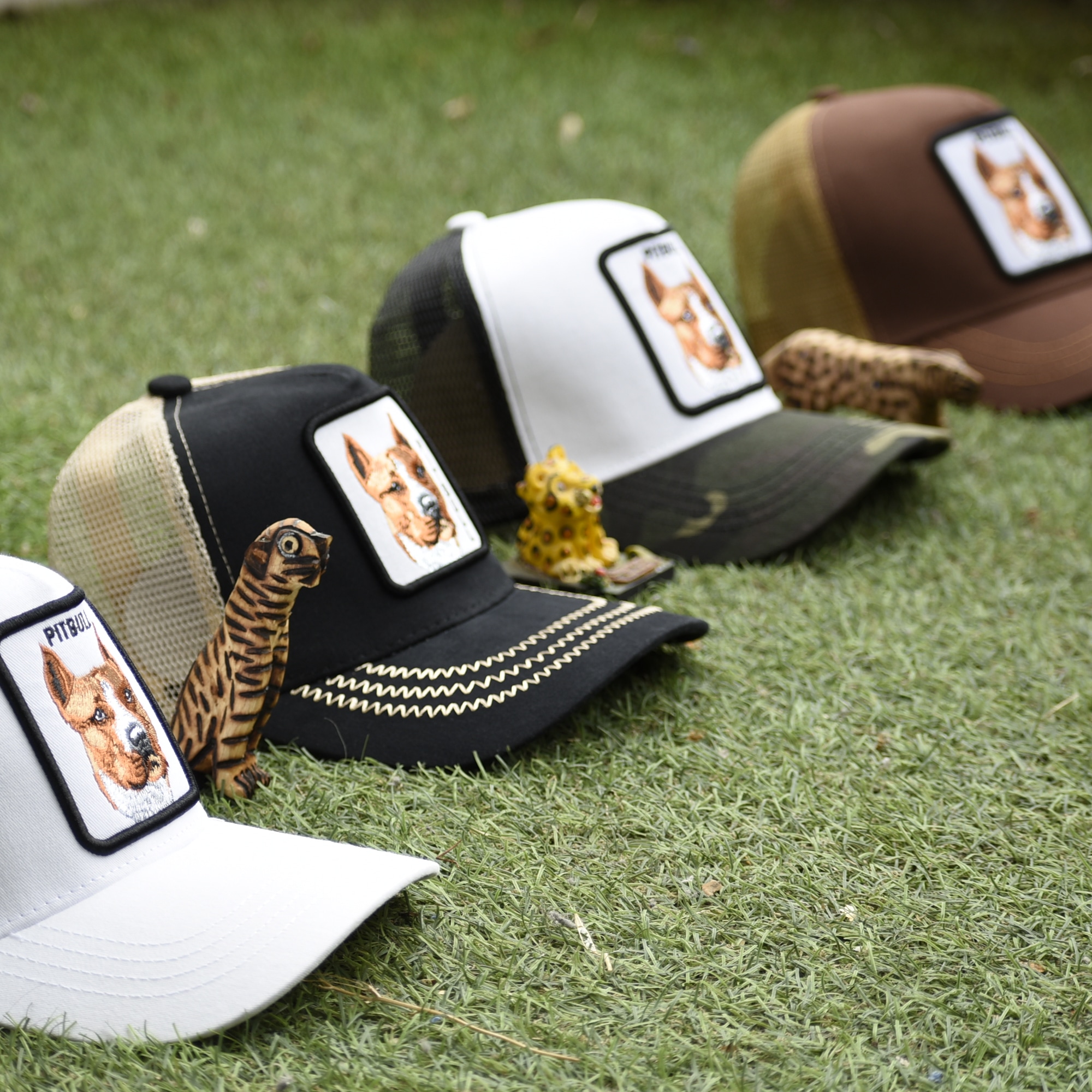 Gorras Pitbull